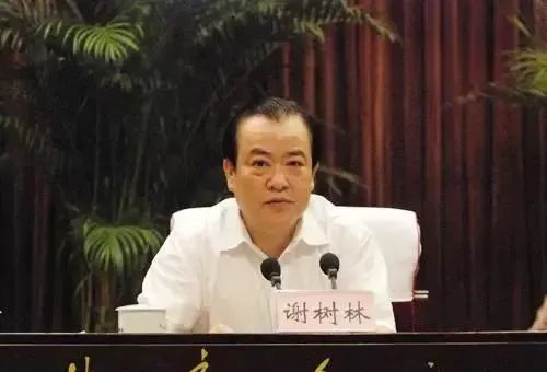 全家上阵搞家庭式腐败，湖南省长沙市政协原主席谢树林被移送审查起诉