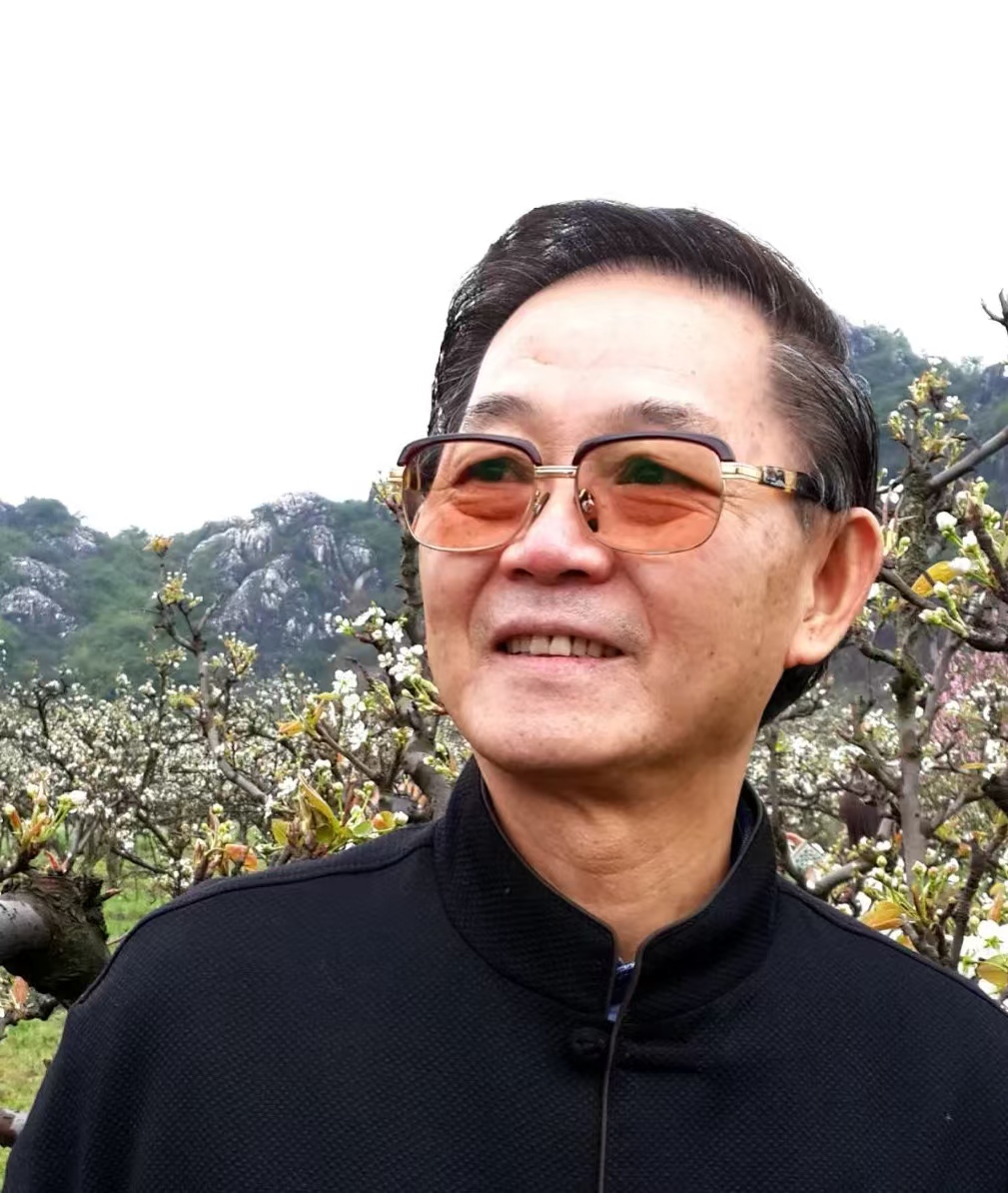 名家散文 | 水运宪：触摸乡愁